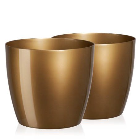 TM-DP-Aga-2P-Gold_1.jpg