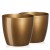 TM-DP-Aga-2P-Gold_1.jpg