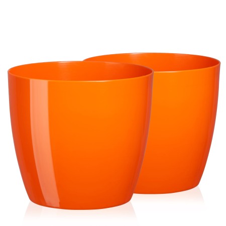 TM-DP-Aga-2P-Orange_1.jpg