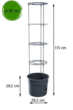 TM-PP-IPOM_3_30.jpg