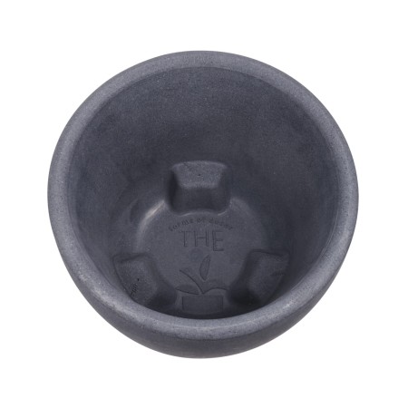 TM-PP-Cano_5.jpg