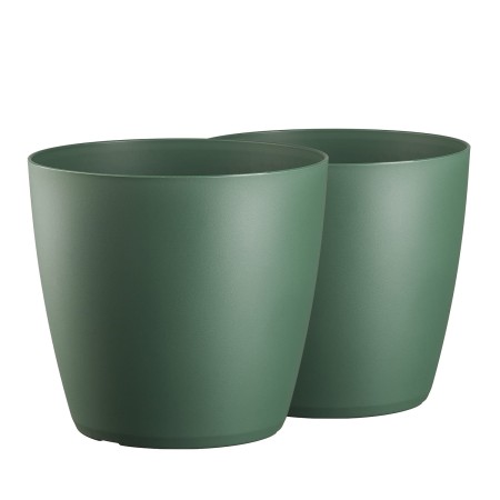 TM-PP-DMMA-Mate-GreenPinia_1.jpg