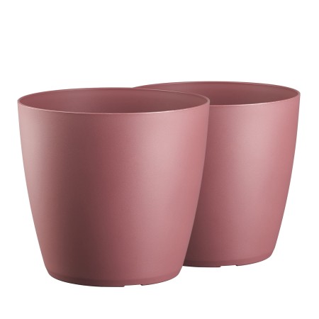 TM-PP-DMMA-Mate-Marsala_1.jpg