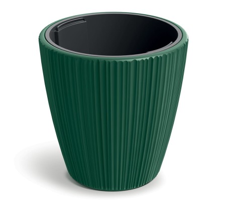TM-PP-ORO-DBOR-Green_1.jpg