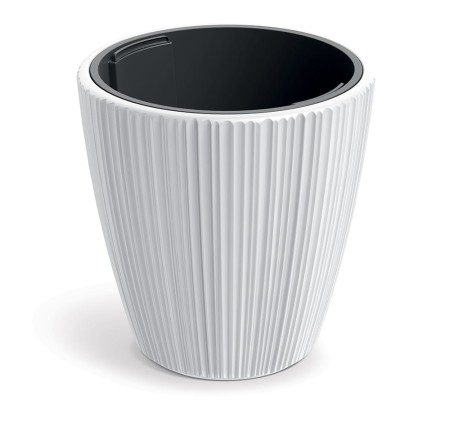 TM-PP-ORO-DBOR-White_1.jpg