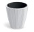 TM-PP-ORO-DBOR-White_1.jpg