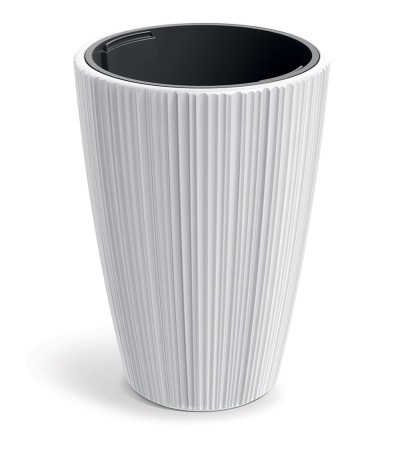 TM-PP-ORO-DMOR-White_1.jpg
