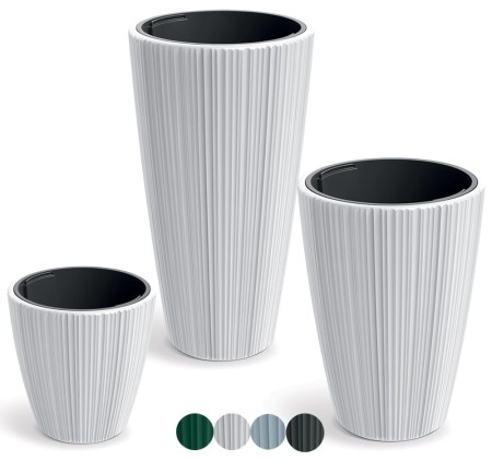 TM-PP-ORO-White1.jpg