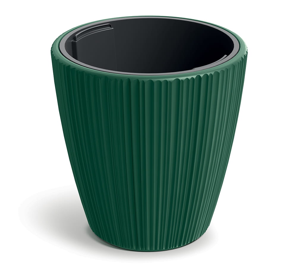 TM-PP-ORO-DBOR-Green_1.jpg