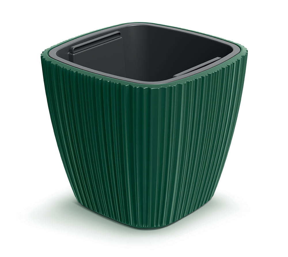 TM-PP-OROKwadrat-DBOS-Green_1.jpg